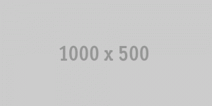 1000x500